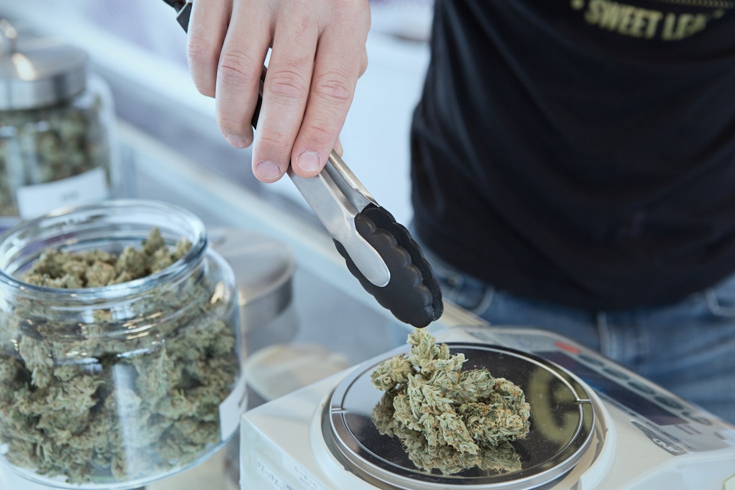 Selecting the Right Seeds for Success